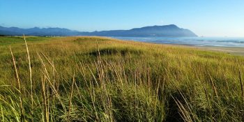 The Best Surfing In Oregon Surf Guide, North Coast Surf Breaks