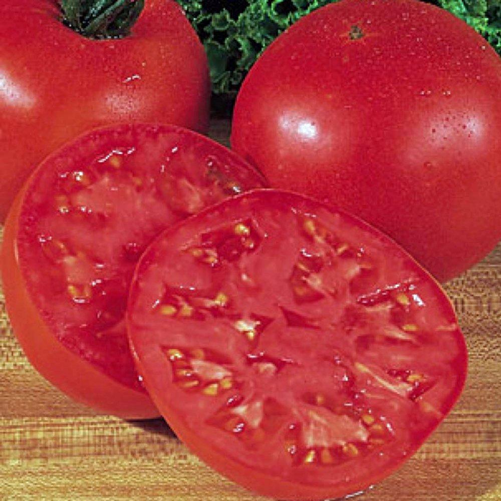 Burpee Big Boy Tomato Plants for Sale | Free Shipping