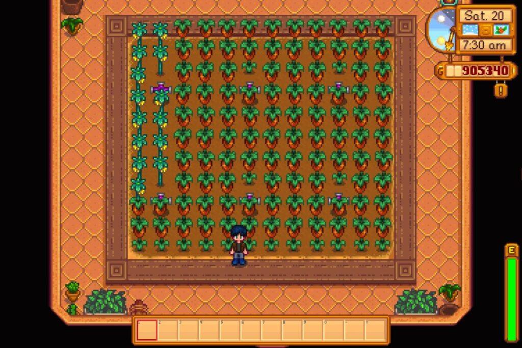 Best Crops for the Greenhouse in Stardew Valley | High Ground Gaming
